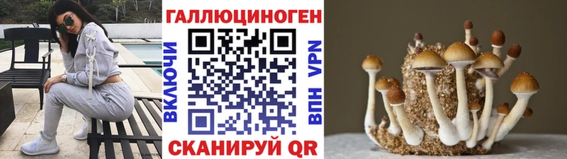 KRAKEN ТОР  Дятьково  Псилоцибиновые грибы мицелий 